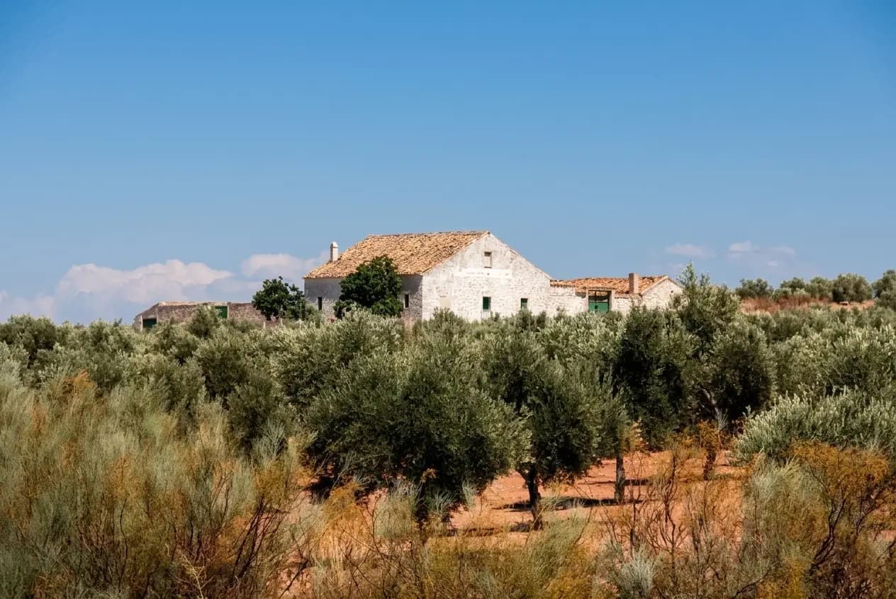 Huilerie Jawher Ben Ammar